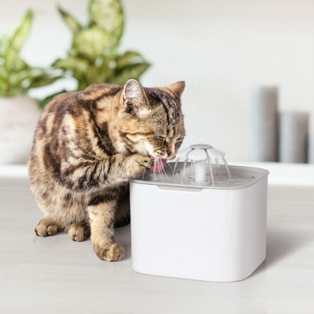 Fontaine à eau pour Animaux 2L