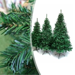 Sapin vert