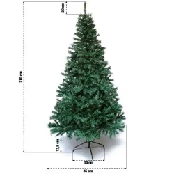 Sapin vert