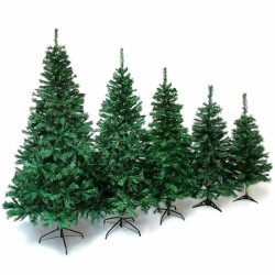 Sapin vert