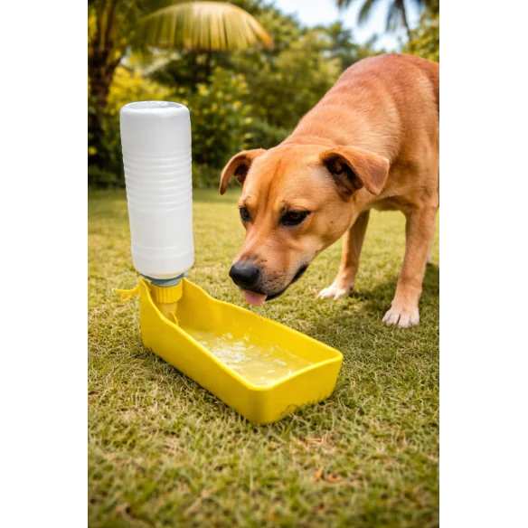 Bouteille chien + distributeur