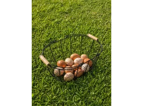 Panier de récolte métal