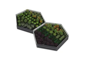 Carré potager hexagonal 120cm x2