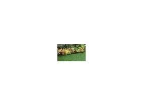 Bordurette plastique noire...