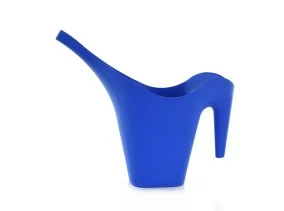 Arrosoir 2 Litres